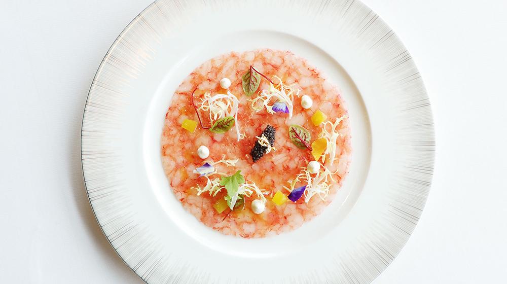2023-02-16_PR_Cucina_Red-Prawn-Carpaccio,-Mozzarella-Cheese-Sauce,-Herring-Caviar,-Lemon-Oil-Dressing_1000x560-(1).jpg